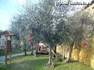[P29] Podoabe de Craciun pentru maslinii di Moteriggio » foto by claudiu 71
 - 
<span class="allrVoted glyphicon glyphicon-heart hidden" id="av701028"></span>
<a class="m-l-10 hidden" id="sv701028" onclick="voting_Foto_DelVot(,701028,8341)" role="button">șterge vot <span class="glyphicon glyphicon-remove"></span></a>
<a id="v9701028" class=" c-red"  onclick="voting_Foto_SetVot(701028)" role="button"><span class="glyphicon glyphicon-heart-empty"></span> <b>LIKE</b> = Votează poza</a> <img class="hidden"  id="f701028W9" src="/imagini/loader.gif" border="0" /><span class="AjErrMes hidden" id="e701028ErM"></span>