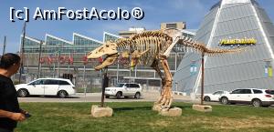 [P02] Schelet dinozaur in fata Union Square » foto by Aniram
 - 
<span class="allrVoted glyphicon glyphicon-heart hidden" id="av1091275"></span>
<a class="m-l-10 hidden" id="sv1091275" onclick="voting_Foto_DelVot(,1091275,8408)" role="button">șterge vot <span class="glyphicon glyphicon-remove"></span></a>
<a id="v91091275" class=" c-red"  onclick="voting_Foto_SetVot(1091275)" role="button"><span class="glyphicon glyphicon-heart-empty"></span> <b>LIKE</b> = Votează poza</a> <img class="hidden"  id="f1091275W9" src="/imagini/loader.gif" border="0" /><span class="AjErrMes hidden" id="e1091275ErM"></span>