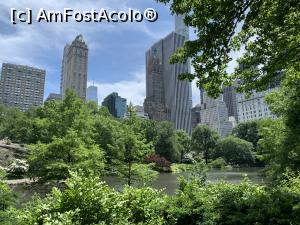 [P05] Central Park » foto by patrick007
 - 
<span class="allrVoted glyphicon glyphicon-heart hidden" id="av1091489"></span>
<a class="m-l-10 hidden" id="sv1091489" onclick="voting_Foto_DelVot(,1091489,8408)" role="button">șterge vot <span class="glyphicon glyphicon-remove"></span></a>
<a id="v91091489" class=" c-red"  onclick="voting_Foto_SetVot(1091489)" role="button"><span class="glyphicon glyphicon-heart-empty"></span> <b>LIKE</b> = Votează poza</a> <img class="hidden"  id="f1091489W9" src="/imagini/loader.gif" border="0" /><span class="AjErrMes hidden" id="e1091489ErM"></span>