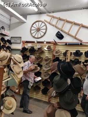 [P17] Daca ai ajuns in America trebuie sa-ti cumperi si o palarie » foto by lenti
 - 
<span class="allrVoted glyphicon glyphicon-heart hidden" id="av1086319"></span>
<a class="m-l-10 hidden" id="sv1086319" onclick="voting_Foto_DelVot(,1086319,8408)" role="button">șterge vot <span class="glyphicon glyphicon-remove"></span></a>
<a id="v91086319" class=" c-red"  onclick="voting_Foto_SetVot(1086319)" role="button"><span class="glyphicon glyphicon-heart-empty"></span> <b>LIKE</b> = Votează poza</a> <img class="hidden"  id="f1086319W9" src="/imagini/loader.gif" border="0" /><span class="AjErrMes hidden" id="e1086319ErM"></span>