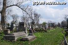 [P04] Pe aleile cimitirului » foto by Ovidiu istorie
 - 
<span class="allrVoted glyphicon glyphicon-heart hidden" id="av316079"></span>
<a class="m-l-10 hidden" id="sv316079" onclick="voting_Foto_DelVot(,316079,8421)" role="button">șterge vot <span class="glyphicon glyphicon-remove"></span></a>
<a id="v9316079" class=" c-red"  onclick="voting_Foto_SetVot(316079)" role="button"><span class="glyphicon glyphicon-heart-empty"></span> <b>LIKE</b> = Votează poza</a> <img class="hidden"  id="f316079W9" src="/imagini/loader.gif" border="0" /><span class="AjErrMes hidden" id="e316079ErM"></span>