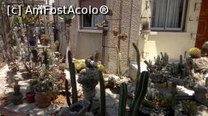 [P16] 'colectie' de cactusi in curtea unei case...  » foto by magda1612
 - 
<span class="allrVoted glyphicon glyphicon-heart hidden" id="av768688"></span>
<a class="m-l-10 hidden" id="sv768688" onclick="voting_Foto_DelVot(,768688,8427)" role="button">șterge vot <span class="glyphicon glyphicon-remove"></span></a>
<a id="v9768688" class=" c-red"  onclick="voting_Foto_SetVot(768688)" role="button"><span class="glyphicon glyphicon-heart-empty"></span> <b>LIKE</b> = Votează poza</a> <img class="hidden"  id="f768688W9" src="/imagini/loader.gif" border="0" /><span class="AjErrMes hidden" id="e768688ErM"></span>