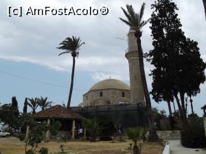 [P20] Moscheea Hala Sultan Tekke » foto by irinad
 - 
<span class="allrVoted glyphicon glyphicon-heart hidden" id="av803958"></span>
<a class="m-l-10 hidden" id="sv803958" onclick="voting_Foto_DelVot(,803958,8430)" role="button">șterge vot <span class="glyphicon glyphicon-remove"></span></a>
<a id="v9803958" class=" c-red"  onclick="voting_Foto_SetVot(803958)" role="button"><span class="glyphicon glyphicon-heart-empty"></span> <b>LIKE</b> = Votează poza</a> <img class="hidden"  id="f803958W9" src="/imagini/loader.gif" border="0" /><span class="AjErrMes hidden" id="e803958ErM"></span>