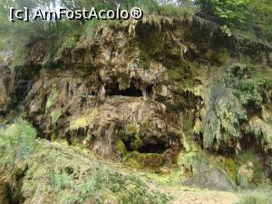 [P22] Cascada mezotermală de la Topliţa - Apa termală se prelinge peste depunerile de travertin.  » foto by Floryn81
 - 
<span class="allrVoted glyphicon glyphicon-heart hidden" id="av883162"></span>
<a class="m-l-10 hidden" id="sv883162" onclick="voting_Foto_DelVot(,883162,8452)" role="button">șterge vot <span class="glyphicon glyphicon-remove"></span></a>
<a id="v9883162" class=" c-red"  onclick="voting_Foto_SetVot(883162)" role="button"><span class="glyphicon glyphicon-heart-empty"></span> <b>LIKE</b> = Votează poza</a> <img class="hidden"  id="f883162W9" src="/imagini/loader.gif" border="0" /><span class="AjErrMes hidden" id="e883162ErM"></span>