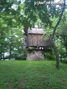 [P44]  -- <small>// FĂRĂ DESCRIERE</small> » foto by alinaro
 - 
<span class="allrVoted glyphicon glyphicon-heart hidden" id="av342906"></span>
<a class="m-l-10 hidden" id="sv342906" onclick="voting_Foto_DelVot(,342906,8488)" role="button">șterge vot <span class="glyphicon glyphicon-remove"></span></a>
<a id="v9342906" class=" c-red"  onclick="voting_Foto_SetVot(342906)" role="button"><span class="glyphicon glyphicon-heart-empty"></span> <b>LIKE</b> = Votează poza</a> <img class="hidden"  id="f342906W9" src="/imagini/loader.gif" border="0" /><span class="AjErrMes hidden" id="e342906ErM"></span>