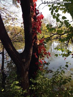 [P30] Culorile toamnei » foto by Yersinia Pestis
 - 
<span class="allrVoted glyphicon glyphicon-heart hidden" id="av566610"></span>
<a class="m-l-10 hidden" id="sv566610" onclick="voting_Foto_DelVot(,566610,8488)" role="button">șterge vot <span class="glyphicon glyphicon-remove"></span></a>
<a id="v9566610" class=" c-red"  onclick="voting_Foto_SetVot(566610)" role="button"><span class="glyphicon glyphicon-heart-empty"></span> <b>LIKE</b> = Votează poza</a> <img class="hidden"  id="f566610W9" src="/imagini/loader.gif" border="0" /><span class="AjErrMes hidden" id="e566610ErM"></span>