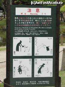 [P23] Pancarta cu atentie caprioare naravase :) » foto by dananecula*
 - 
<span class="allrVoted glyphicon glyphicon-heart hidden" id="av186358"></span>
<a class="m-l-10 hidden" id="sv186358" onclick="voting_Foto_DelVot(,186358,8565)" role="button">șterge vot <span class="glyphicon glyphicon-remove"></span></a>
<a id="v9186358" class=" c-red"  onclick="voting_Foto_SetVot(186358)" role="button"><span class="glyphicon glyphicon-heart-empty"></span> <b>LIKE</b> = Votează poza</a> <img class="hidden"  id="f186358W9" src="/imagini/loader.gif" border="0" /><span class="AjErrMes hidden" id="e186358ErM"></span>