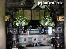 [P10] Felinare uriase, adevarate dantelarii ... » foto by dananecula
 - 
<span class="allrVoted glyphicon glyphicon-heart hidden" id="av269187"></span>
<a class="m-l-10 hidden" id="sv269187" onclick="voting_Foto_DelVot(,269187,8571)" role="button">șterge vot <span class="glyphicon glyphicon-remove"></span></a>
<a id="v9269187" class=" c-red"  onclick="voting_Foto_SetVot(269187)" role="button"><span class="glyphicon glyphicon-heart-empty"></span> <b>LIKE</b> = Votează poza</a> <img class="hidden"  id="f269187W9" src="/imagini/loader.gif" border="0" /><span class="AjErrMes hidden" id="e269187ErM"></span>