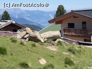 [P16] Marmote la minigrădina zoologică de la AlpenGarden, drumul alpin Zillertaler Höhenstrasse.  » foto by Aurici
 - 
<span class="allrVoted glyphicon glyphicon-heart hidden" id="av1037740"></span>
<a class="m-l-10 hidden" id="sv1037740" onclick="voting_Foto_DelVot(,1037740,8584)" role="button">șterge vot <span class="glyphicon glyphicon-remove"></span></a>
<a id="v91037740" class=" c-red"  onclick="voting_Foto_SetVot(1037740)" role="button"><span class="glyphicon glyphicon-heart-empty"></span> <b>LIKE</b> = Votează poza</a> <img class="hidden"  id="f1037740W9" src="/imagini/loader.gif" border="0" /><span class="AjErrMes hidden" id="e1037740ErM"></span>