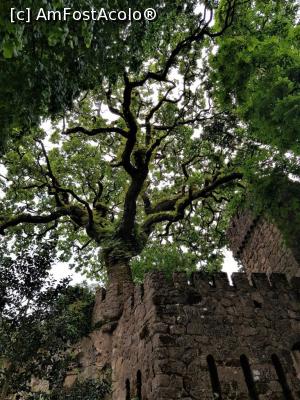 [P14] Quinta de Regaleira - intrare » foto by Bujie
 - 
<span class="allrVoted glyphicon glyphicon-heart hidden" id="av983724"></span>
<a class="m-l-10 hidden" id="sv983724" onclick="voting_Foto_DelVot(,983724,8613)" role="button">șterge vot <span class="glyphicon glyphicon-remove"></span></a>
<a id="v9983724" class=" c-red"  onclick="voting_Foto_SetVot(983724)" role="button"><span class="glyphicon glyphicon-heart-empty"></span> <b>LIKE</b> = Votează poza</a> <img class="hidden"  id="f983724W9" src="/imagini/loader.gif" border="0" /><span class="AjErrMes hidden" id="e983724ErM"></span>