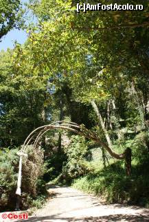 [P14] Peisaj de poveste în Parcul Pena.  » foto by Costi
 - 
<span class="allrVoted glyphicon glyphicon-heart hidden" id="av389585"></span>
<a class="m-l-10 hidden" id="sv389585" onclick="voting_Foto_DelVot(,389585,8613)" role="button">șterge vot <span class="glyphicon glyphicon-remove"></span></a>
<a id="v9389585" class=" c-red"  onclick="voting_Foto_SetVot(389585)" role="button"><span class="glyphicon glyphicon-heart-empty"></span> <b>LIKE</b> = Votează poza</a> <img class="hidden"  id="f389585W9" src="/imagini/loader.gif" border="0" /><span class="AjErrMes hidden" id="e389585ErM"></span>