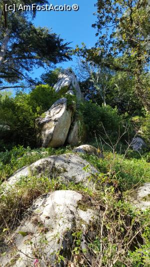 [P02]  -- <small>// FĂRĂ DESCRIERE</small> » foto by geani anto
 - 
<span class="allrVoted glyphicon glyphicon-heart hidden" id="av956667"></span>
<a class="m-l-10 hidden" id="sv956667" onclick="voting_Foto_DelVot(,956667,8613)" role="button">șterge vot <span class="glyphicon glyphicon-remove"></span></a>
<a id="v9956667" class=" c-red"  onclick="voting_Foto_SetVot(956667)" role="button"><span class="glyphicon glyphicon-heart-empty"></span> <b>LIKE</b> = Votează poza</a> <img class="hidden"  id="f956667W9" src="/imagini/loader.gif" border="0" /><span class="AjErrMes hidden" id="e956667ErM"></span>