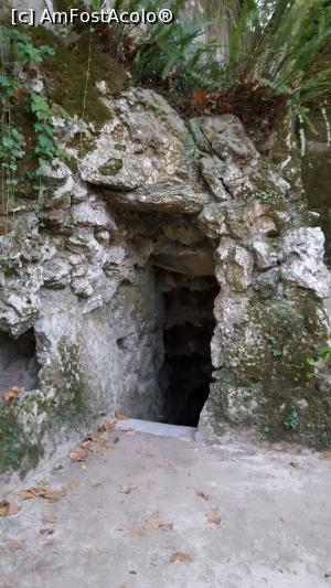 [P50]  -- <small>// FĂRĂ DESCRIERE</small> » foto by geani anto
 - 
<span class="allrVoted glyphicon glyphicon-heart hidden" id="av956716"></span>
<a class="m-l-10 hidden" id="sv956716" onclick="voting_Foto_DelVot(,956716,8613)" role="button">șterge vot <span class="glyphicon glyphicon-remove"></span></a>
<a id="v9956716" class=" c-red"  onclick="voting_Foto_SetVot(956716)" role="button"><span class="glyphicon glyphicon-heart-empty"></span> <b>LIKE</b> = Votează poza</a> <img class="hidden"  id="f956716W9" src="/imagini/loader.gif" border="0" /><span class="AjErrMes hidden" id="e956716ErM"></span>