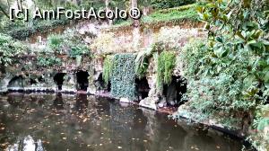 [P51]  -- <small>// FĂRĂ DESCRIERE</small> » foto by geani anto
 - 
<span class="allrVoted glyphicon glyphicon-heart hidden" id="av956717"></span>
<a class="m-l-10 hidden" id="sv956717" onclick="voting_Foto_DelVot(,956717,8613)" role="button">șterge vot <span class="glyphicon glyphicon-remove"></span></a>
<a id="v9956717" class=" c-red"  onclick="voting_Foto_SetVot(956717)" role="button"><span class="glyphicon glyphicon-heart-empty"></span> <b>LIKE</b> = Votează poza</a> <img class="hidden"  id="f956717W9" src="/imagini/loader.gif" border="0" /><span class="AjErrMes hidden" id="e956717ErM"></span>