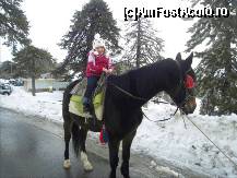 [P17] O plimbare de 10 minute cu calu, 6 euro. » foto by TraianS
 - 
<span class="allrVoted glyphicon glyphicon-heart hidden" id="av189926"></span>
<a class="m-l-10 hidden" id="sv189926" onclick="voting_Foto_DelVot(,189926,8662)" role="button">șterge vot <span class="glyphicon glyphicon-remove"></span></a>
<a id="v9189926" class=" c-red"  onclick="voting_Foto_SetVot(189926)" role="button"><span class="glyphicon glyphicon-heart-empty"></span> <b>LIKE</b> = Votează poza</a> <img class="hidden"  id="f189926W9" src="/imagini/loader.gif" border="0" /><span class="AjErrMes hidden" id="e189926ErM"></span>