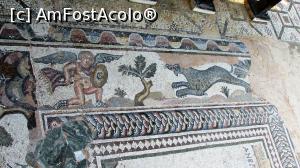 [P47] Scenă de vânătoare; casa lui Tezeu » foto by crismis
 - 
<span class="allrVoted glyphicon glyphicon-heart hidden" id="av716399"></span>
<a class="m-l-10 hidden" id="sv716399" onclick="voting_Foto_DelVot(,716399,8732)" role="button">șterge vot <span class="glyphicon glyphicon-remove"></span></a>
<a id="v9716399" class=" c-red"  onclick="voting_Foto_SetVot(716399)" role="button"><span class="glyphicon glyphicon-heart-empty"></span> <b>LIKE</b> = Votează poza</a> <img class="hidden"  id="f716399W9" src="/imagini/loader.gif" border="0" /><span class="AjErrMes hidden" id="e716399ErM"></span>