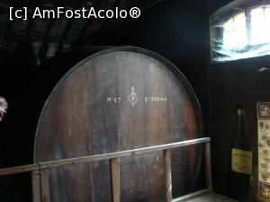 [P30] Butoaie la Jose Maria Fonseca -sunt uriase » foto by mireille
 - 
<span class="allrVoted glyphicon glyphicon-heart hidden" id="av925797"></span>
<a class="m-l-10 hidden" id="sv925797" onclick="voting_Foto_DelVot(,925797,8769)" role="button">șterge vot <span class="glyphicon glyphicon-remove"></span></a>
<a id="v9925797" class=" c-red"  onclick="voting_Foto_SetVot(925797)" role="button"><span class="glyphicon glyphicon-heart-empty"></span> <b>LIKE</b> = Votează poza</a> <img class="hidden"  id="f925797W9" src="/imagini/loader.gif" border="0" /><span class="AjErrMes hidden" id="e925797ErM"></span>