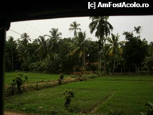 [P11]  -- <small>// FĂRĂ DESCRIERE</small> » foto by feliciarosca
 - 
<span class="allrVoted glyphicon glyphicon-heart hidden" id="av360484"></span>
<a class="m-l-10 hidden" id="sv360484" onclick="voting_Foto_DelVot(,360484,8783)" role="button">șterge vot <span class="glyphicon glyphicon-remove"></span></a>
<a id="v9360484" class=" c-red"  onclick="voting_Foto_SetVot(360484)" role="button"><span class="glyphicon glyphicon-heart-empty"></span> <b>LIKE</b> = Votează poza</a> <img class="hidden"  id="f360484W9" src="/imagini/loader.gif" border="0" /><span class="AjErrMes hidden" id="e360484ErM"></span>