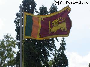 [P29] Steagul Sri Lanka » foto by nela b
 - 
<span class="allrVoted glyphicon glyphicon-heart hidden" id="av525707"></span>
<a class="m-l-10 hidden" id="sv525707" onclick="voting_Foto_DelVot(,525707,8783)" role="button">șterge vot <span class="glyphicon glyphicon-remove"></span></a>
<a id="v9525707" class=" c-red"  onclick="voting_Foto_SetVot(525707)" role="button"><span class="glyphicon glyphicon-heart-empty"></span> <b>LIKE</b> = Votează poza</a> <img class="hidden"  id="f525707W9" src="/imagini/loader.gif" border="0" /><span class="AjErrMes hidden" id="e525707ErM"></span>