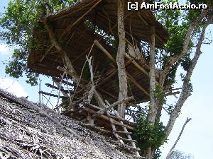 [P54] adapost construit de agricultori pentru a supraveghea ca noaptea sa nu intre elefantii si sa distruga recoltele.  » foto by nela b
 - 
<span class="allrVoted glyphicon glyphicon-heart hidden" id="av526952"></span>
<a class="m-l-10 hidden" id="sv526952" onclick="voting_Foto_DelVot(,526952,8783)" role="button">șterge vot <span class="glyphicon glyphicon-remove"></span></a>
<a id="v9526952" class=" c-red"  onclick="voting_Foto_SetVot(526952)" role="button"><span class="glyphicon glyphicon-heart-empty"></span> <b>LIKE</b> = Votează poza</a> <img class="hidden"  id="f526952W9" src="/imagini/loader.gif" border="0" /><span class="AjErrMes hidden" id="e526952ErM"></span>
