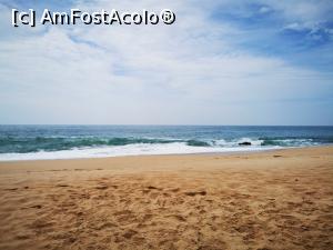 [P86] Tangalle Beach » foto by cata2106
 - 
<span class="allrVoted glyphicon glyphicon-heart hidden" id="av1286606"></span>
<a class="m-l-10 hidden" id="sv1286606" onclick="voting_Foto_DelVot(,1286606,8783)" role="button">șterge vot <span class="glyphicon glyphicon-remove"></span></a>
<a id="v91286606" class=" c-red"  onclick="voting_Foto_SetVot(1286606)" role="button"><span class="glyphicon glyphicon-heart-empty"></span> <b>LIKE</b> = Votează poza</a> <img class="hidden"  id="f1286606W9" src="/imagini/loader.gif" border="0" /><span class="AjErrMes hidden" id="e1286606ErM"></span>