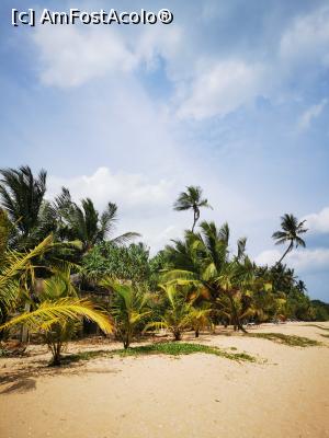 [P99] Tangalle Beach » foto by cata2106
 - 
<span class="allrVoted glyphicon glyphicon-heart hidden" id="av1286619"></span>
<a class="m-l-10 hidden" id="sv1286619" onclick="voting_Foto_DelVot(,1286619,8783)" role="button">șterge vot <span class="glyphicon glyphicon-remove"></span></a>
<a id="v91286619" class=" c-red"  onclick="voting_Foto_SetVot(1286619)" role="button"><span class="glyphicon glyphicon-heart-empty"></span> <b>LIKE</b> = Votează poza</a> <img class="hidden"  id="f1286619W9" src="/imagini/loader.gif" border="0" /><span class="AjErrMes hidden" id="e1286619ErM"></span>