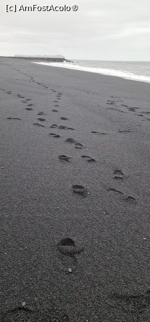 [P51] Reynisfjara » foto by adso
 - 
<span class="allrVoted glyphicon glyphicon-heart hidden" id="av1510231"></span>
<a class="m-l-10 hidden" id="sv1510231" onclick="voting_Foto_DelVot(,1510231,8786)" role="button">șterge vot <span class="glyphicon glyphicon-remove"></span></a>
<a id="v91510231" class=" c-red"  onclick="voting_Foto_SetVot(1510231)" role="button"><span class="glyphicon glyphicon-heart-empty"></span> <b>LIKE</b> = Votează poza</a> <img class="hidden"  id="f1510231W9" src="/imagini/loader.gif" border="0" /><span class="AjErrMes hidden" id="e1510231ErM"></span>