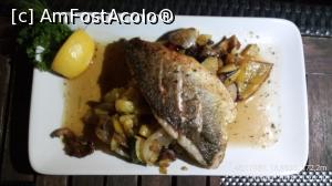 [P27] Ce am mâncat seara la restaurantul hotelului - lup de mare cu legume.  » foto by Aurici
 - 
<span class="allrVoted glyphicon glyphicon-heart hidden" id="av1043405"></span>
<a class="m-l-10 hidden" id="sv1043405" onclick="voting_Foto_DelVot(,1043405,8791)" role="button">șterge vot <span class="glyphicon glyphicon-remove"></span></a>
<a id="v91043405" class=" c-red"  onclick="voting_Foto_SetVot(1043405)" role="button"><span class="glyphicon glyphicon-heart-empty"></span> <b>LIKE</b> = Votează poza</a> <img class="hidden"  id="f1043405W9" src="/imagini/loader.gif" border="0" /><span class="AjErrMes hidden" id="e1043405ErM"></span>