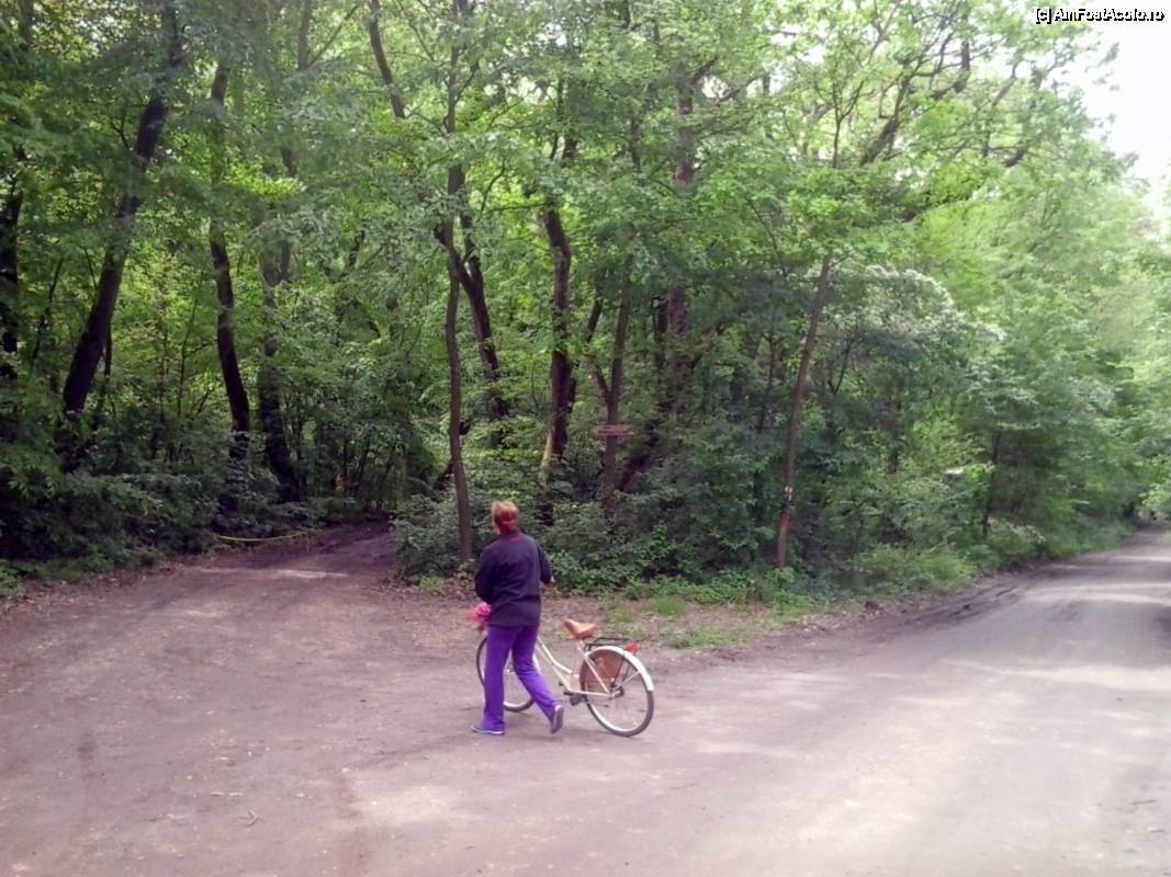 [P04] Cu bicicleta prin Rezervația naturală Comana - orientare turistică...  » foto by Dragoș_MD
 - 
<span class="allrVoted glyphicon glyphicon-heart hidden" id="av506171"></span>
<a class="m-l-10 hidden" id="sv506171" onclick="voting_Foto_DelVot(,506171,8832)" role="button">șterge vot <span class="glyphicon glyphicon-remove"></span></a>
<a id="v9506171" class=" c-red"  onclick="voting_Foto_SetVot(506171)" role="button"><span class="glyphicon glyphicon-heart-empty"></span> <b>LIKE</b> = Votează poza</a> <img class="hidden"  id="f506171W9" src="/imagini/loader.gif" border="0" /><span class="AjErrMes hidden" id="e506171ErM"></span>