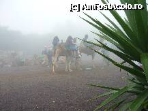 [P06] Excursie la Santa Cruz de Tenerife/capitala. Locul unde am servit masa de pranz si unde am avut ocazia sa ne plimbam cu camilele. Ceata care se vede este, de fapt, un nor plin de apa, specific insulei (care nu are rauri, lacuri)!!! » foto by Jenny*
 - 
<span class="allrVoted glyphicon glyphicon-heart hidden" id="av244812"></span>
<a class="m-l-10 hidden" id="sv244812" onclick="voting_Foto_DelVot(,244812,8885)" role="button">șterge vot <span class="glyphicon glyphicon-remove"></span></a>
<a id="v9244812" class=" c-red"  onclick="voting_Foto_SetVot(244812)" role="button"><span class="glyphicon glyphicon-heart-empty"></span> <b>LIKE</b> = Votează poza</a> <img class="hidden"  id="f244812W9" src="/imagini/loader.gif" border="0" /><span class="AjErrMes hidden" id="e244812ErM"></span>