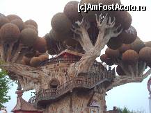 [P01] prezzemolo » foto by adaiulia
 - 
<span class="allrVoted glyphicon glyphicon-heart hidden" id="av71635"></span>
<a class="m-l-10 hidden" id="sv71635" onclick="voting_Foto_DelVot(,71635,8903)" role="button">șterge vot <span class="glyphicon glyphicon-remove"></span></a>
<a id="v971635" class=" c-red"  onclick="voting_Foto_SetVot(71635)" role="button"><span class="glyphicon glyphicon-heart-empty"></span> <b>LIKE</b> = Votează poza</a> <img class="hidden"  id="f71635W9" src="/imagini/loader.gif" border="0" /><span class="AjErrMes hidden" id="e71635ErM"></span>