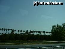 [P27] Drumul dinspre aeroportul din Antalya spre hotel... » foto by magdalena
 - 
<span class="allrVoted glyphicon glyphicon-heart hidden" id="av200689"></span>
<a class="m-l-10 hidden" id="sv200689" onclick="voting_Foto_DelVot(,200689,8928)" role="button">șterge vot <span class="glyphicon glyphicon-remove"></span></a>
<a id="v9200689" class=" c-red"  onclick="voting_Foto_SetVot(200689)" role="button"><span class="glyphicon glyphicon-heart-empty"></span> <b>LIKE</b> = Votează poza</a> <img class="hidden"  id="f200689W9" src="/imagini/loader.gif" border="0" /><span class="AjErrMes hidden" id="e200689ErM"></span>