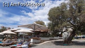 [P12] Plaja din Kalamata » foto by Carmen Ion
 - 
<span class="allrVoted glyphicon glyphicon-heart hidden" id="av1266288"></span>
<a class="m-l-10 hidden" id="sv1266288" onclick="voting_Foto_DelVot(,1266288,8969)" role="button">șterge vot <span class="glyphicon glyphicon-remove"></span></a>
<a id="v91266288" class=" c-red"  onclick="voting_Foto_SetVot(1266288)" role="button"><span class="glyphicon glyphicon-heart-empty"></span> <b>LIKE</b> = Votează poza</a> <img class="hidden"  id="f1266288W9" src="/imagini/loader.gif" border="0" /><span class="AjErrMes hidden" id="e1266288ErM"></span>