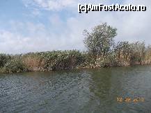 [P15] Delta la inceput de toamna - 2 » foto by rodica1016
 - 
<span class="allrVoted glyphicon glyphicon-heart hidden" id="av471640"></span>
<a class="m-l-10 hidden" id="sv471640" onclick="voting_Foto_DelVot(,471640,8983)" role="button">șterge vot <span class="glyphicon glyphicon-remove"></span></a>
<a id="v9471640" class=" c-red"  onclick="voting_Foto_SetVot(471640)" role="button"><span class="glyphicon glyphicon-heart-empty"></span> <b>LIKE</b> = Votează poza</a> <img class="hidden"  id="f471640W9" src="/imagini/loader.gif" border="0" /><span class="AjErrMes hidden" id="e471640ErM"></span>