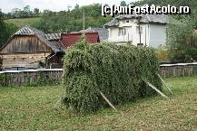 [P09] Aceeaşi dihanie 'păroasă'. În spate se vede o casă albă, cu etaj, construită din cărămidă. Plimbându-vă prin sat veţi vedea mai multe case identice cu aceasta şi chiar 'casa de piatră' a pensiunii este construită la fel de parcă ar fi copiate la indigo. Tanti Lenuţa a spus că odată erau la modă. » foto by Utube
 - 
<span class="allrVoted glyphicon glyphicon-heart hidden" id="av377041"></span>
<a class="m-l-10 hidden" id="sv377041" onclick="voting_Foto_DelVot(,377041,9036)" role="button">șterge vot <span class="glyphicon glyphicon-remove"></span></a>
<a id="v9377041" class=" c-red"  onclick="voting_Foto_SetVot(377041)" role="button"><span class="glyphicon glyphicon-heart-empty"></span> <b>LIKE</b> = Votează poza</a> <img class="hidden"  id="f377041W9" src="/imagini/loader.gif" border="0" /><span class="AjErrMes hidden" id="e377041ErM"></span>