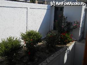 [P08] plante ornamentale aflate in jurul cladirii » foto by elena_iasi
 - 
<span class="allrVoted glyphicon glyphicon-heart hidden" id="av449458"></span>
<a class="m-l-10 hidden" id="sv449458" onclick="voting_Foto_DelVot(,449458,9038)" role="button">șterge vot <span class="glyphicon glyphicon-remove"></span></a>
<a id="v9449458" class=" c-red"  onclick="voting_Foto_SetVot(449458)" role="button"><span class="glyphicon glyphicon-heart-empty"></span> <b>LIKE</b> = Votează poza</a> <img class="hidden"  id="f449458W9" src="/imagini/loader.gif" border="0" /><span class="AjErrMes hidden" id="e449458ErM"></span>