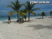 [P01]  -- <small>// FĂRĂ DESCRIERE</small> » foto by bd
 - 
<span class="allrVoted glyphicon glyphicon-heart hidden" id="av237354"></span>
<a class="m-l-10 hidden" id="sv237354" onclick="voting_Foto_DelVot(,237354,9056)" role="button">șterge vot <span class="glyphicon glyphicon-remove"></span></a>
<a id="v9237354" class=" c-red"  onclick="voting_Foto_SetVot(237354)" role="button"><span class="glyphicon glyphicon-heart-empty"></span> <b>LIKE</b> = Votează poza</a> <img class="hidden"  id="f237354W9" src="/imagini/loader.gif" border="0" /><span class="AjErrMes hidden" id="e237354ErM"></span>