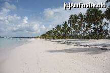 [P02]  -- <small>// FĂRĂ DESCRIERE</small> » foto by bd
 - 
<span class="allrVoted glyphicon glyphicon-heart hidden" id="av237355"></span>
<a class="m-l-10 hidden" id="sv237355" onclick="voting_Foto_DelVot(,237355,9056)" role="button">șterge vot <span class="glyphicon glyphicon-remove"></span></a>
<a id="v9237355" class=" c-red"  onclick="voting_Foto_SetVot(237355)" role="button"><span class="glyphicon glyphicon-heart-empty"></span> <b>LIKE</b> = Votează poza</a> <img class="hidden"  id="f237355W9" src="/imagini/loader.gif" border="0" /><span class="AjErrMes hidden" id="e237355ErM"></span>