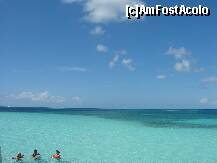 [P09]  -- <small>// FĂRĂ DESCRIERE</small> » foto by bd
 - 
<span class="allrVoted glyphicon glyphicon-heart hidden" id="av237362"></span>
<a class="m-l-10 hidden" id="sv237362" onclick="voting_Foto_DelVot(,237362,9056)" role="button">șterge vot <span class="glyphicon glyphicon-remove"></span></a>
<a id="v9237362" class=" c-red"  onclick="voting_Foto_SetVot(237362)" role="button"><span class="glyphicon glyphicon-heart-empty"></span> <b>LIKE</b> = Votează poza</a> <img class="hidden"  id="f237362W9" src="/imagini/loader.gif" border="0" /><span class="AjErrMes hidden" id="e237362ErM"></span>