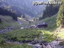 [P15]  -- <small>// FĂRĂ DESCRIERE</small> » foto by ninel*
 - 
<span class="allrVoted glyphicon glyphicon-heart hidden" id="av450493"></span>
<a class="m-l-10 hidden" id="sv450493" onclick="voting_Foto_DelVot(,450493,9057)" role="button">șterge vot <span class="glyphicon glyphicon-remove"></span></a>
<a id="v9450493" class=" c-red"  onclick="voting_Foto_SetVot(450493)" role="button"><span class="glyphicon glyphicon-heart-empty"></span> <b>LIKE</b> = Votează poza</a> <img class="hidden"  id="f450493W9" src="/imagini/loader.gif" border="0" /><span class="AjErrMes hidden" id="e450493ErM"></span>