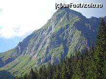 [P05]  -- <small>// FĂRĂ DESCRIERE</small> » foto by ninel*
 - 
<span class="allrVoted glyphicon glyphicon-heart hidden" id="av449356"></span>
<a class="m-l-10 hidden" id="sv449356" onclick="voting_Foto_DelVot(,449356,9057)" role="button">șterge vot <span class="glyphicon glyphicon-remove"></span></a>
<a id="v9449356" class=" c-red"  onclick="voting_Foto_SetVot(449356)" role="button"><span class="glyphicon glyphicon-heart-empty"></span> <b>LIKE</b> = Votează poza</a> <img class="hidden"  id="f449356W9" src="/imagini/loader.gif" border="0" /><span class="AjErrMes hidden" id="e449356ErM"></span>