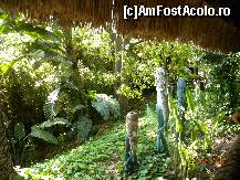 [P05] Detaliu ce ceeaza atmosfera in Polynesia » foto by bitnic
 - 
<span class="allrVoted glyphicon glyphicon-heart hidden" id="av348172"></span>
<a class="m-l-10 hidden" id="sv348172" onclick="voting_Foto_DelVot(,348172,9107)" role="button">șterge vot <span class="glyphicon glyphicon-remove"></span></a>
<a id="v9348172" class=" c-red"  onclick="voting_Foto_SetVot(348172)" role="button"><span class="glyphicon glyphicon-heart-empty"></span> <b>LIKE</b> = Votează poza</a> <img class="hidden"  id="f348172W9" src="/imagini/loader.gif" border="0" /><span class="AjErrMes hidden" id="e348172ErM"></span>