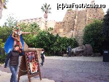 [P13] Templul de Foc un spectacol impresionant » foto by bogdanfifa
 - 
<span class="allrVoted glyphicon glyphicon-heart hidden" id="av321352"></span>
<a class="m-l-10 hidden" id="sv321352" onclick="voting_Foto_DelVot(,321352,9107)" role="button">șterge vot <span class="glyphicon glyphicon-remove"></span></a>
<a id="v9321352" class=" c-red"  onclick="voting_Foto_SetVot(321352)" role="button"><span class="glyphicon glyphicon-heart-empty"></span> <b>LIKE</b> = Votează poza</a> <img class="hidden"  id="f321352W9" src="/imagini/loader.gif" border="0" /><span class="AjErrMes hidden" id="e321352ErM"></span>