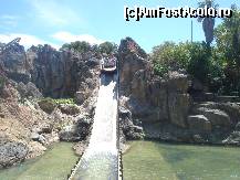 [P13] parc tematic Polinezia » foto by YMUL
 - 
<span class="allrVoted glyphicon glyphicon-heart hidden" id="av427627"></span>
<a class="m-l-10 hidden" id="sv427627" onclick="voting_Foto_DelVot(,427627,9107)" role="button">șterge vot <span class="glyphicon glyphicon-remove"></span></a>
<a id="v9427627" class=" c-red"  onclick="voting_Foto_SetVot(427627)" role="button"><span class="glyphicon glyphicon-heart-empty"></span> <b>LIKE</b> = Votează poza</a> <img class="hidden"  id="f427627W9" src="/imagini/loader.gif" border="0" /><span class="AjErrMes hidden" id="e427627ErM"></span>