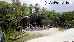 [P30] Spectacolul 'Aloha Tahiti' din zona Polynesia » foto by cdiana
 - 
<span class="allrVoted glyphicon glyphicon-heart hidden" id="av533287"></span>
<a class="m-l-10 hidden" id="sv533287" onclick="voting_Foto_DelVot(,533287,9107)" role="button">șterge vot <span class="glyphicon glyphicon-remove"></span></a>
<a id="v9533287" class=" c-red"  onclick="voting_Foto_SetVot(533287)" role="button"><span class="glyphicon glyphicon-heart-empty"></span> <b>LIKE</b> = Votează poza</a> <img class="hidden"  id="f533287W9" src="/imagini/loader.gif" border="0" /><span class="AjErrMes hidden" id="e533287ErM"></span>