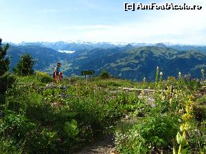 [P19] Din Alpen Blumen Garten -8 » foto by saxonul
 - 
<span class="allrVoted glyphicon glyphicon-heart hidden" id="av546933"></span>
<a class="m-l-10 hidden" id="sv546933" onclick="voting_Foto_DelVot(,546933,9111)" role="button">șterge vot <span class="glyphicon glyphicon-remove"></span></a>
<a id="v9546933" class=" c-red"  onclick="voting_Foto_SetVot(546933)" role="button"><span class="glyphicon glyphicon-heart-empty"></span> <b>LIKE</b> = Votează poza</a> <img class="hidden"  id="f546933W9" src="/imagini/loader.gif" border="0" /><span class="AjErrMes hidden" id="e546933ErM"></span>