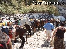 [P26] 'Parcarea' de magarusi » foto by iri_oq
 - 
<span class="allrVoted glyphicon glyphicon-heart hidden" id="av220908"></span>
<a class="m-l-10 hidden" id="sv220908" onclick="voting_Foto_DelVot(,220908,9344)" role="button">șterge vot <span class="glyphicon glyphicon-remove"></span></a>
<a id="v9220908" class=" c-red"  onclick="voting_Foto_SetVot(220908)" role="button"><span class="glyphicon glyphicon-heart-empty"></span> <b>LIKE</b> = Votează poza</a> <img class="hidden"  id="f220908W9" src="/imagini/loader.gif" border="0" /><span class="AjErrMes hidden" id="e220908ErM"></span>