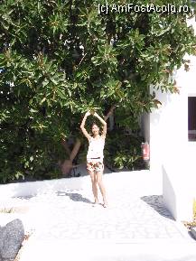 [P30] Un ficus urias in curtea resort-ului » foto by iri_oq
 - 
<span class="allrVoted glyphicon glyphicon-heart hidden" id="av220912"></span>
<a class="m-l-10 hidden" id="sv220912" onclick="voting_Foto_DelVot(,220912,9344)" role="button">șterge vot <span class="glyphicon glyphicon-remove"></span></a>
<a id="v9220912" class=" c-red"  onclick="voting_Foto_SetVot(220912)" role="button"><span class="glyphicon glyphicon-heart-empty"></span> <b>LIKE</b> = Votează poza</a> <img class="hidden"  id="f220912W9" src="/imagini/loader.gif" border="0" /><span class="AjErrMes hidden" id="e220912ErM"></span>