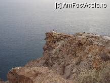 [P50]  -- <small>// FĂRĂ DESCRIERE</small> » foto by iri_oq
 - 
<span class="allrVoted glyphicon glyphicon-heart hidden" id="av220932"></span>
<a class="m-l-10 hidden" id="sv220932" onclick="voting_Foto_DelVot(,220932,9344)" role="button">șterge vot <span class="glyphicon glyphicon-remove"></span></a>
<a id="v9220932" class=" c-red"  onclick="voting_Foto_SetVot(220932)" role="button"><span class="glyphicon glyphicon-heart-empty"></span> <b>LIKE</b> = Votează poza</a> <img class="hidden"  id="f220932W9" src="/imagini/loader.gif" border="0" /><span class="AjErrMes hidden" id="e220932ErM"></span>