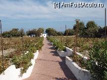 [P06] Drumul catre plaja arondata hotelului » foto by iri_oq
 - 
<span class="allrVoted glyphicon glyphicon-heart hidden" id="av220880"></span>
<a class="m-l-10 hidden" id="sv220880" onclick="voting_Foto_DelVot(,220880,9344)" role="button">șterge vot <span class="glyphicon glyphicon-remove"></span></a>
<a id="v9220880" class=" c-red"  onclick="voting_Foto_SetVot(220880)" role="button"><span class="glyphicon glyphicon-heart-empty"></span> <b>LIKE</b> = Votează poza</a> <img class="hidden"  id="f220880W9" src="/imagini/loader.gif" border="0" /><span class="AjErrMes hidden" id="e220880ErM"></span>